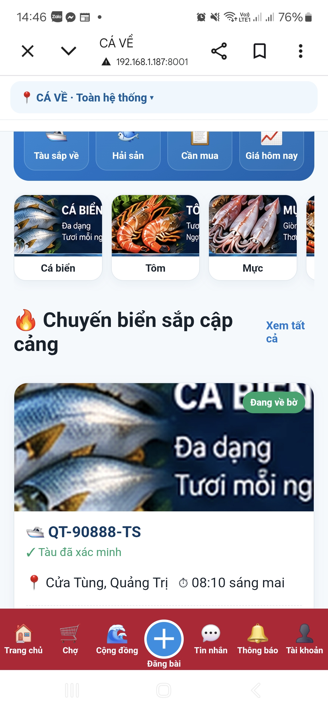 Cá mú